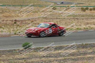 media/May-03-2025-Lucky Dog Racing (Sat) [[206de64b9d]]/Turn 6 (150pm-230pm)/